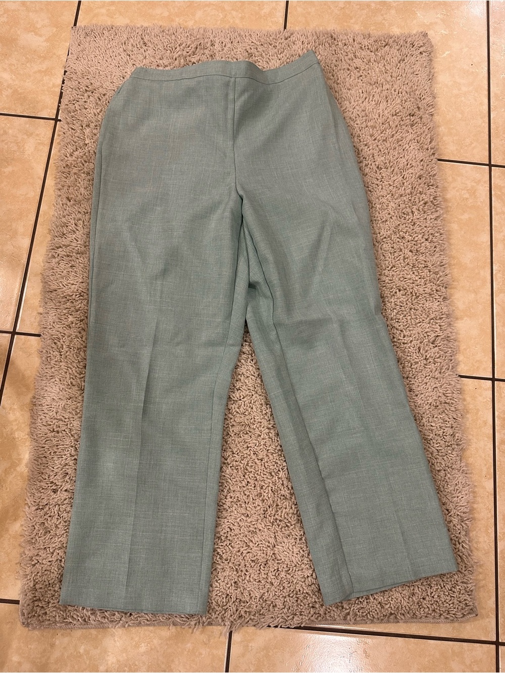 Alfred Dunner Sage Green Dress Pants
